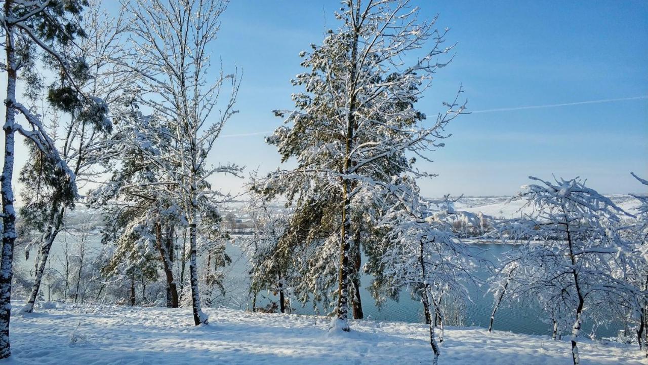 Воллен Zhvanets Екстериор снимка