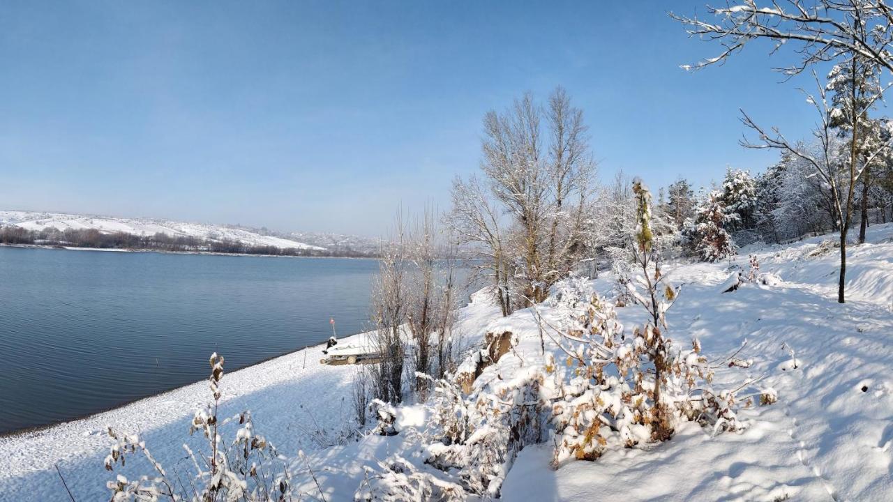 Воллен Zhvanets Екстериор снимка